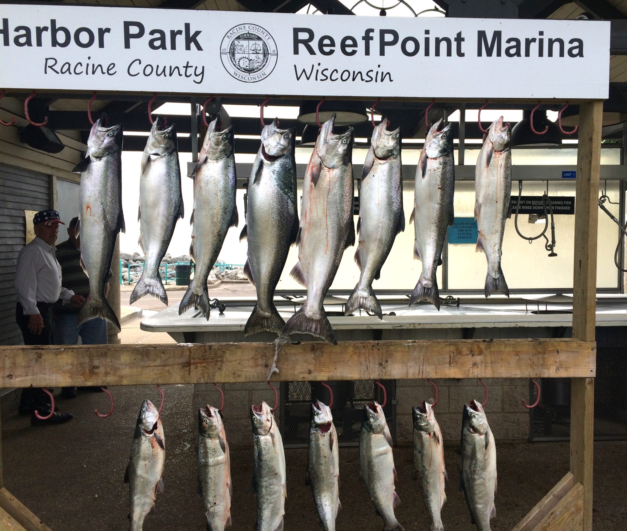 Freshly caught fish hanging at ReefPoint Marina in Wisconsin.
