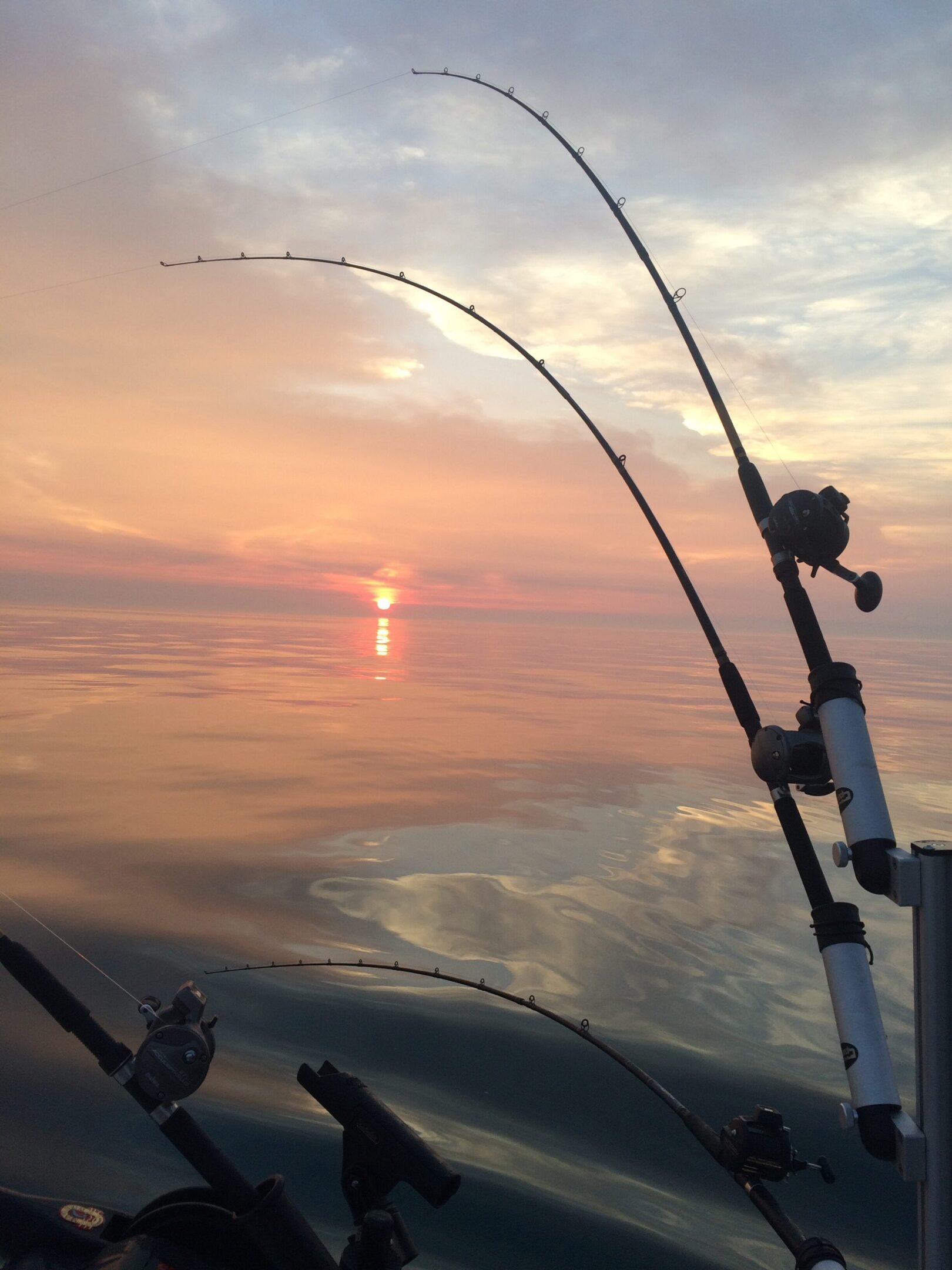 Fishing rods set against a calm sunset over the water.